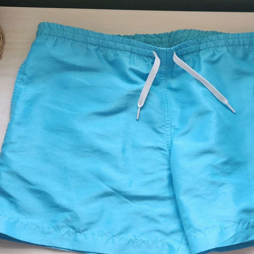 Chubbies Light Blue Swim Trunks